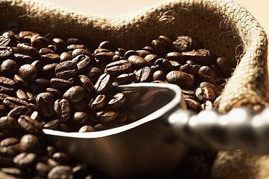 2023年科隆游戏展：微软将带来有史以来最大展台