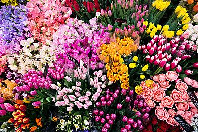 《浩劫前夕》实机演示被指抄袭《使命召唤》 取景灯光雷同