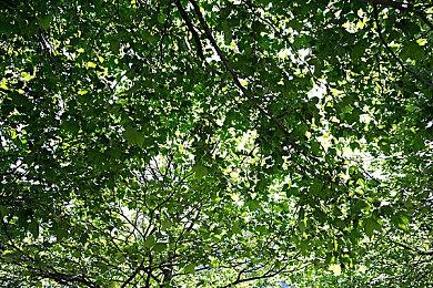 《全境封锁2》第11季“战火燎原”上线 发布预告公布